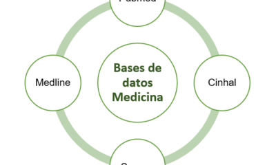 bases datos