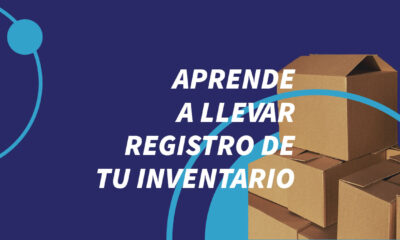 control inventario