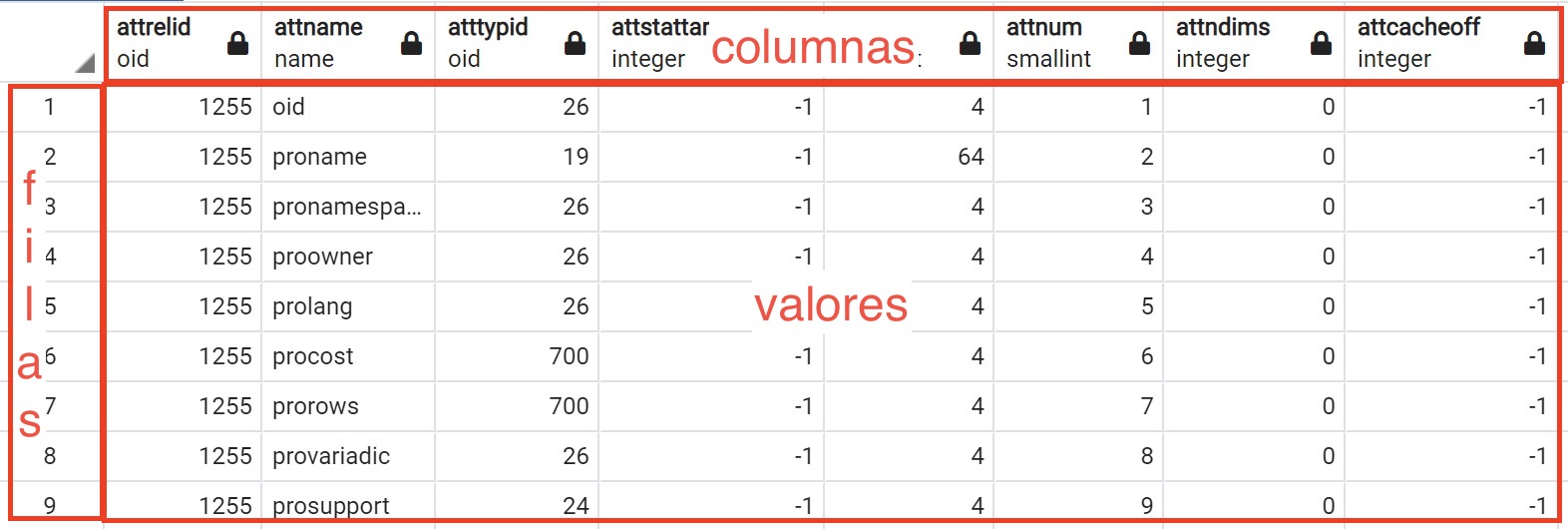 crear tablas