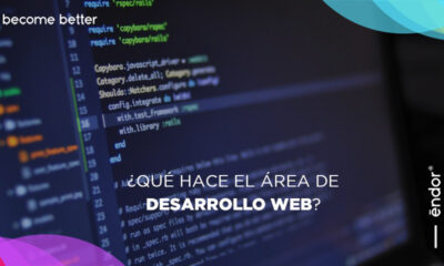 desarrollo web