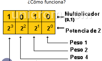 el sistema