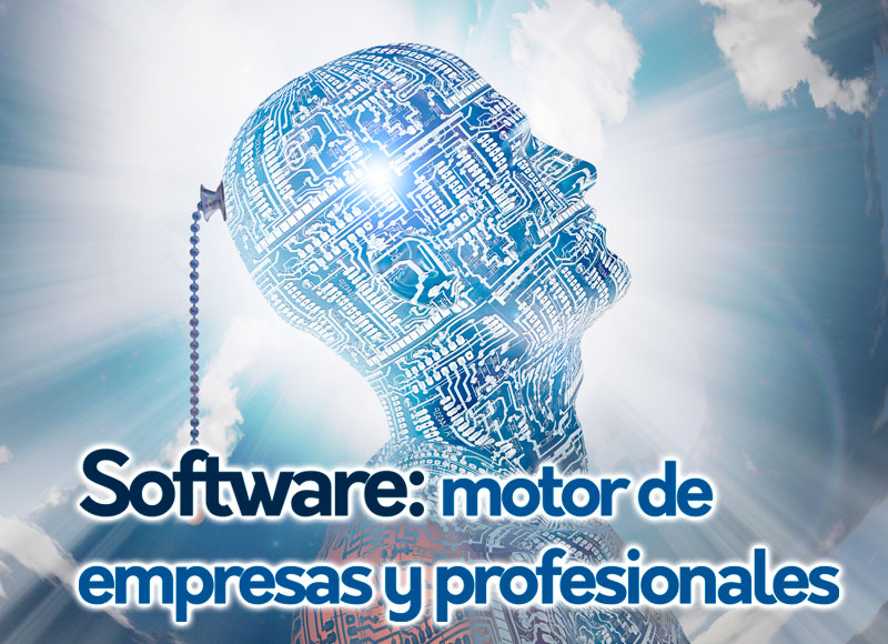 profesional software