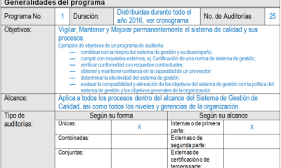 programa auditoria