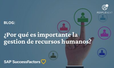 recursos humanos