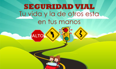 seguridad vial