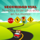 seguridad vial