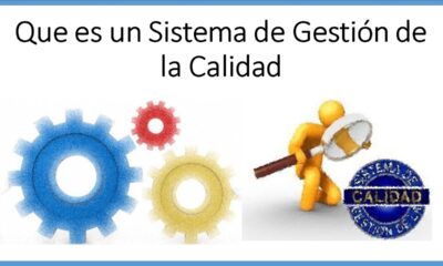 sistema gestion