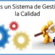 sistema gestion