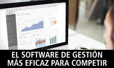 software gestion