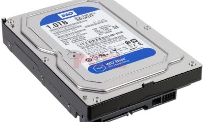 western digital