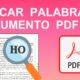 formato pdf