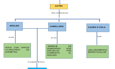 mapa conceptual